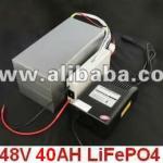 48V 40AH LiFePO4 Battery(with BMS,Fast Charger and Bag)
