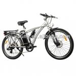 electric bicycle-