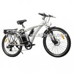 electric bicycle