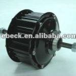 Hub motor