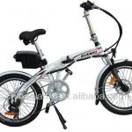 20 Inch Folding Electric Bicycle/E-bike/Folding Bike/Electric Bike Battery/Bicycle Electric