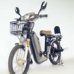 Electronic Bicycles-