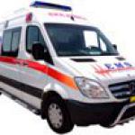 EMS VIP Ambulance EA - 100-