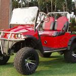Golf Cart with CE certifcate