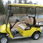 citEcar 4pr Street Legal Golf Cart Low Speed Vehicle - Built in USA-