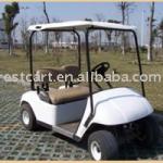 2 Seats Electric Golf Cart-
