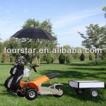 1000W ELECTRIC GOLF CART SX-E0906-3A