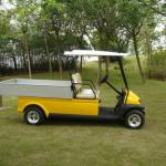 CE 2 seats electric transport cart golf buggy EXCAR