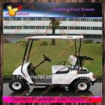 2 Seats Golf Cart-