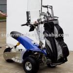 Electric Golf Cruiser Cart,Golf Carts,Golf carts electric with 1000W, CE