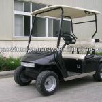 2 passengers electric golf buggy