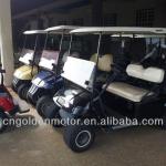 golf buggy drive motor/Golf Car Motor-