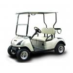 two seats electric golf buggy-