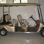 Electric Golf Cart Golf Car Fully automatic 4 KW 4/6/8 seat Powersport India-PS6