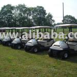 Wholesale Golf Carts-