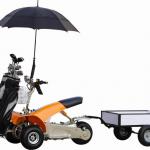 Golf Buggy Electric Golf Cart Sport Golf Kart 3 Wheel Golf Cruiser(SX-E0906-3A)