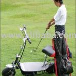 electric golf cart (LI-ION)