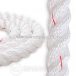 Marine rope ( PP : PES )