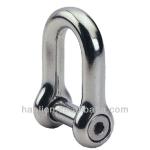 HEX stainless steel D-Shackle