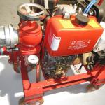 Marine Portable Diesel Engine Driven Emergency Fire Pump (CWY Series)