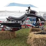 Swiss favor 250cc/300c automatic snowmobile/snow mobile/snow sled/snow ski/snow scooter with CE