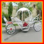 Elegant grace princess carriage horse carriage for wedding