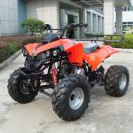 110cc/125cc CE atv(JLA-11-4)