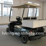 2 Seater Electric Cargo Car LT_A2.H2
