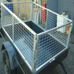 6 x 4 galvanized cage trailer