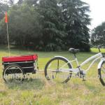 20inch Aluminum alloy material bicycle cargo trailer