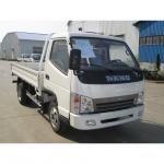 T-KING popular China new 2 ton small diesel or gasoline light truck for sale