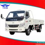 T-KING Gasoline Euro-3 Cargo Truck 3 Ton Light Truck-ZB1046JDDQ