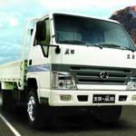 BJ1065P6L6Y Light Truck