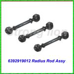 Best selling auto parts OE NO 6392919012 BENZ truck Radius Rod Assy