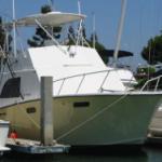 40&#39; Jersey Executive Sport Fisher ship