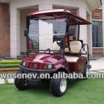 New design 4 seater electric golf buggy on Sale WS-GLR2+2